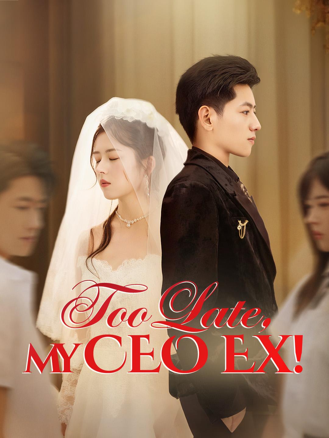 Too Late, My CEO Ex! poster
