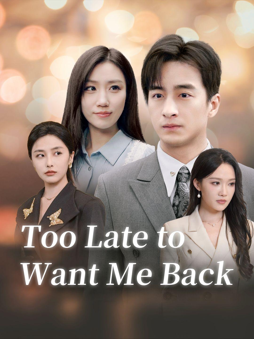 Too Late to Want Me Back poster