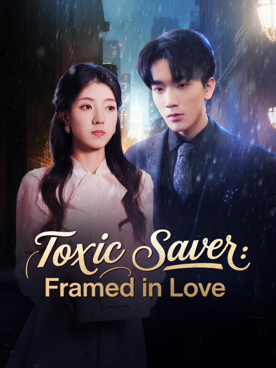 Toxic Saver: Framed in Love poster