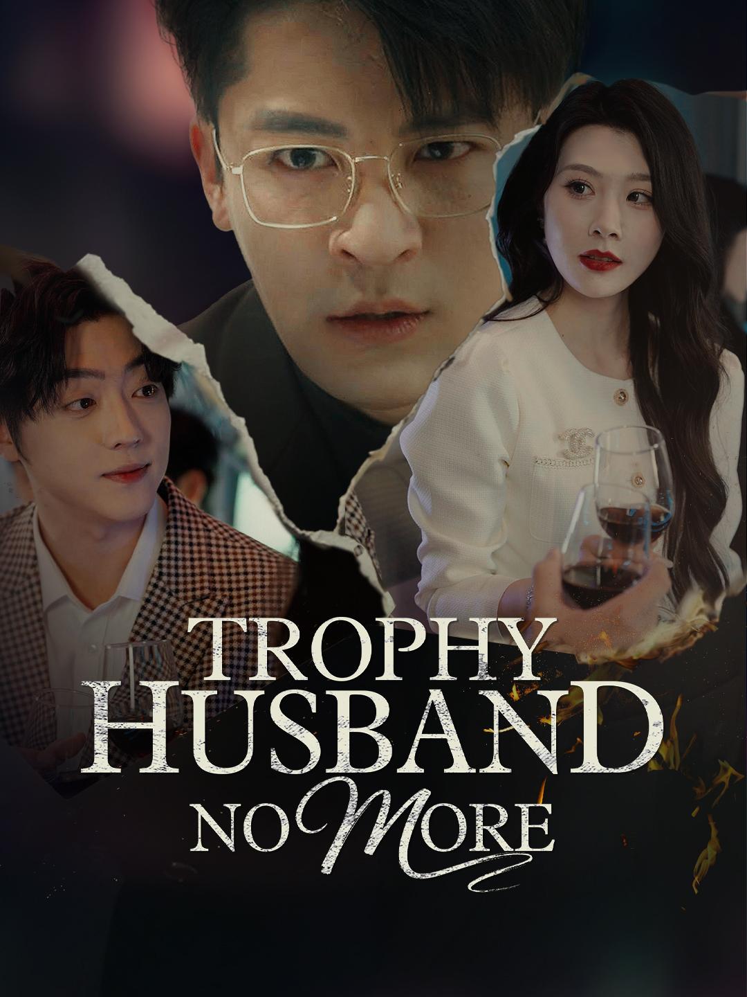 Trophy Husband No More poster