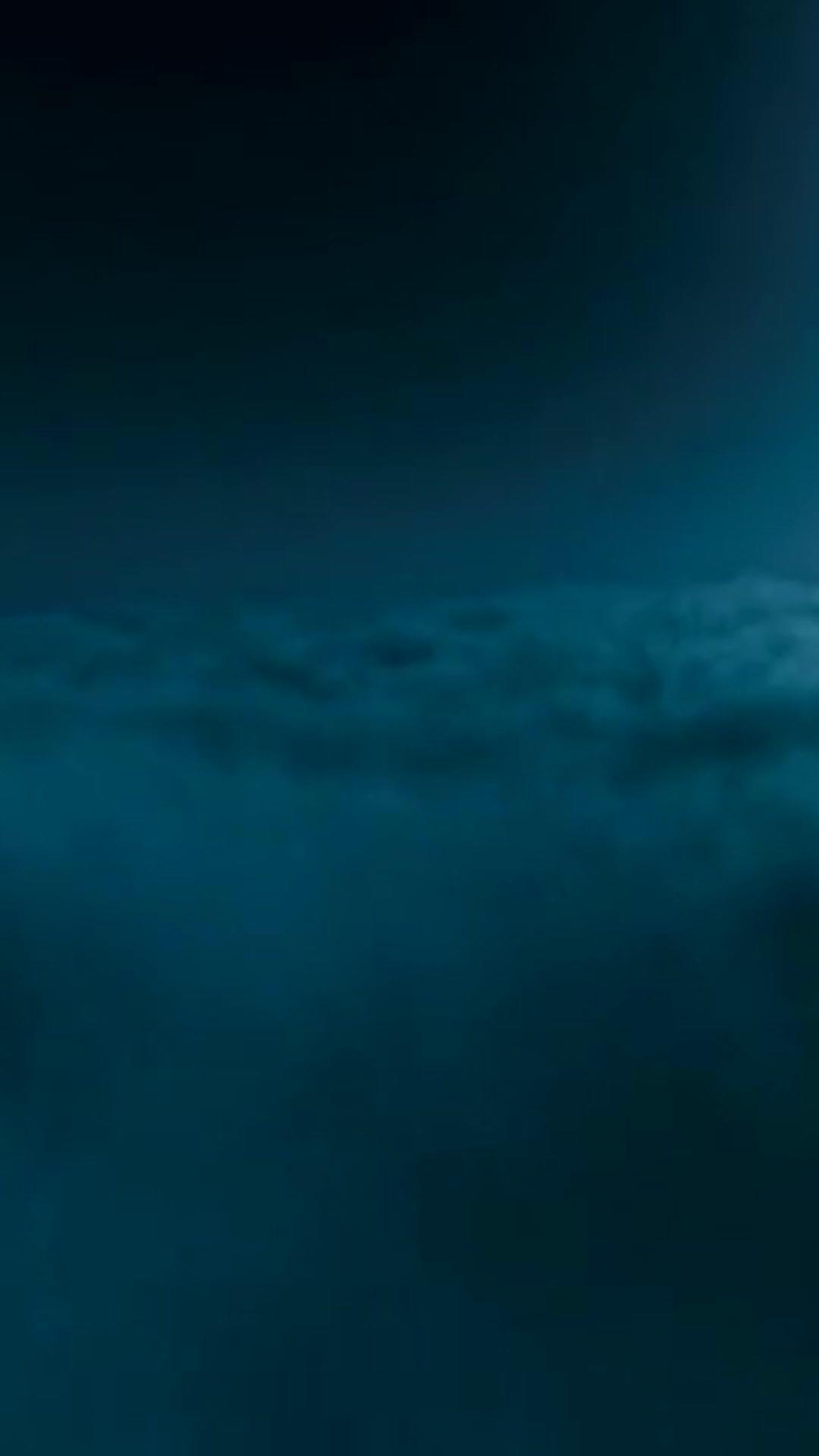 Trust Me, I'm Your Shelter poster