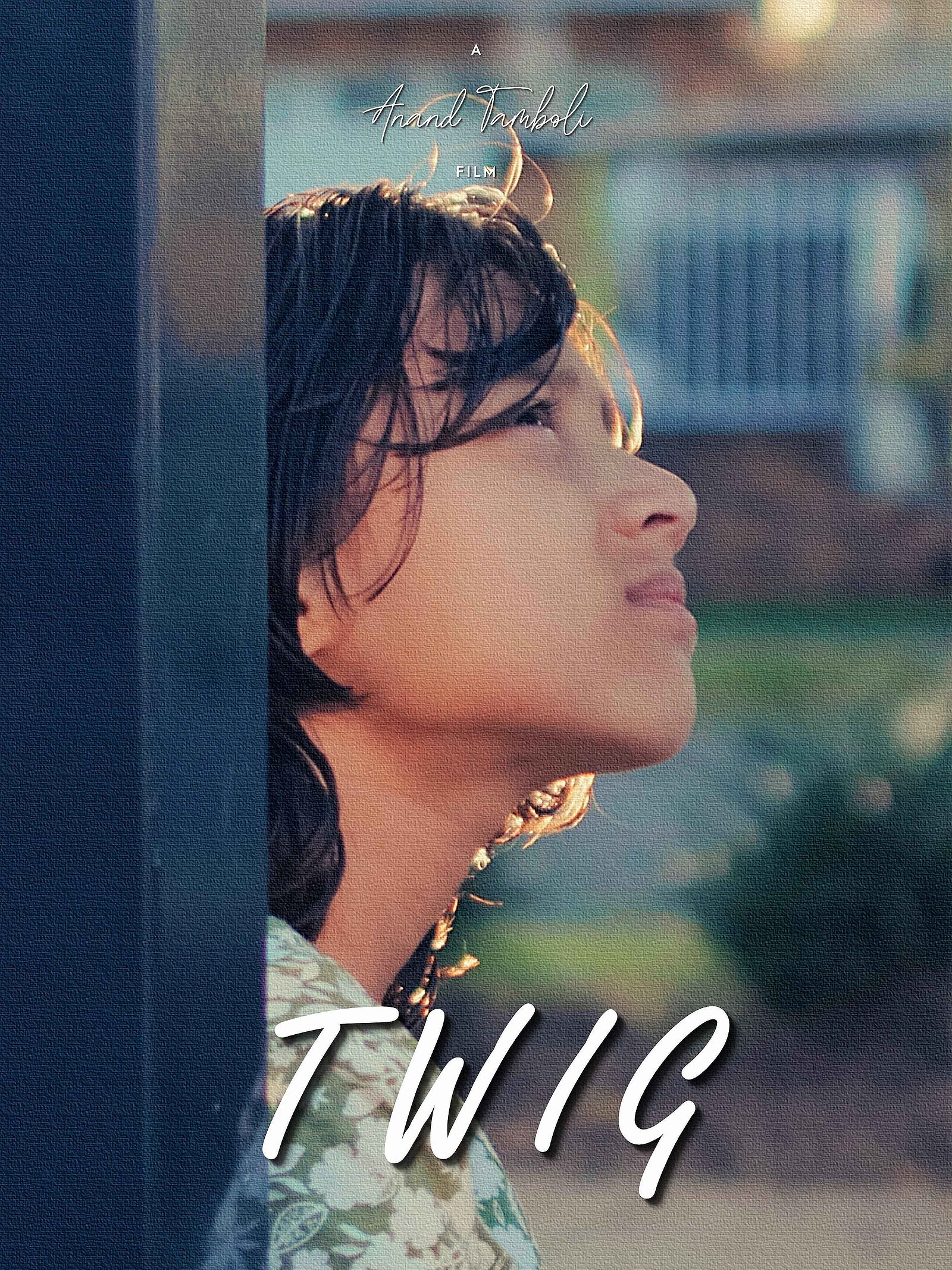 Twig poster
