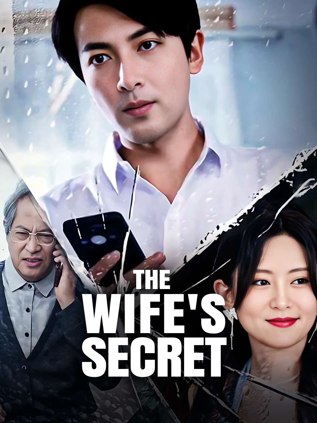 The Wife's Secret poster