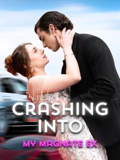 Crashing Into My Magnate Ex poster