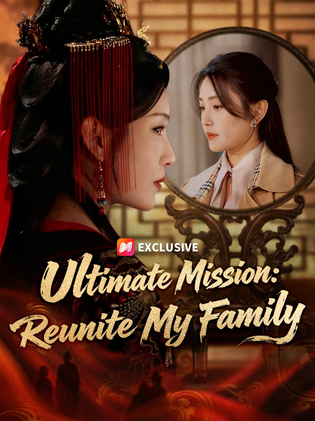 Ultimate Mission: Reunite My Family poster