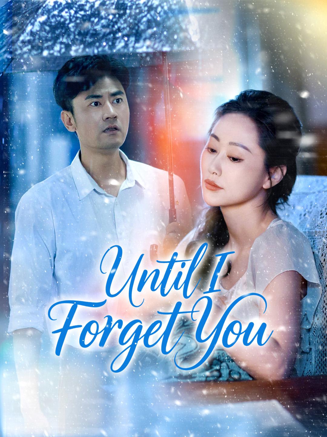 Until I Forget You poster