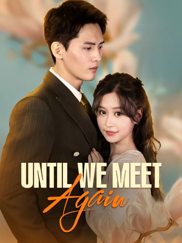 Until We Meet Again poster