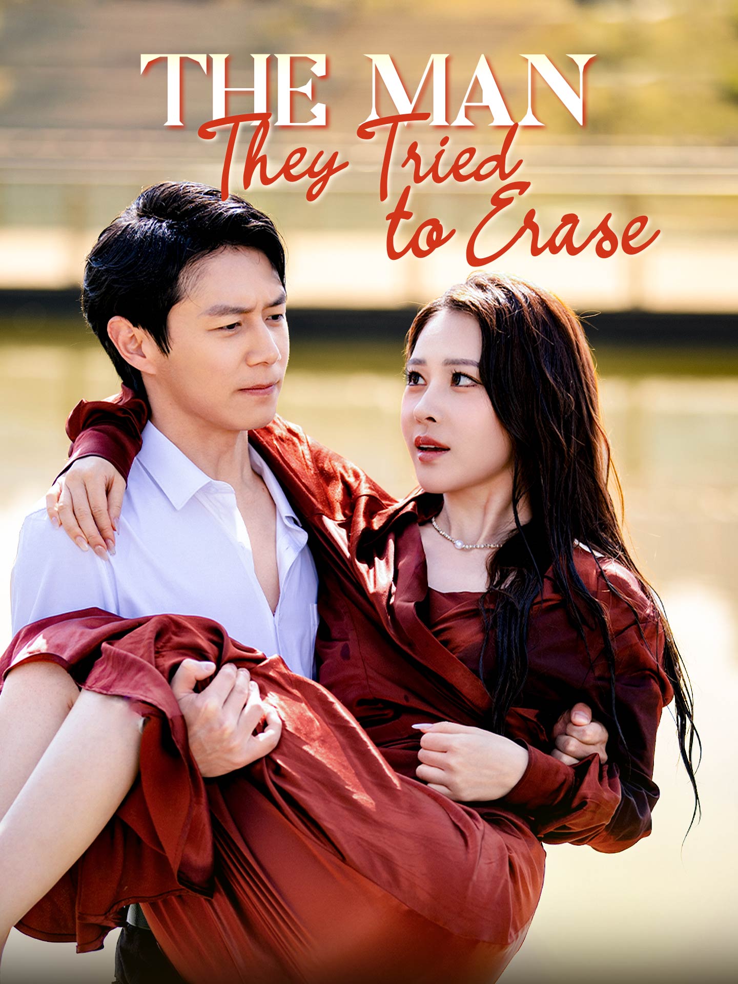 The Man They Tried to Erase poster