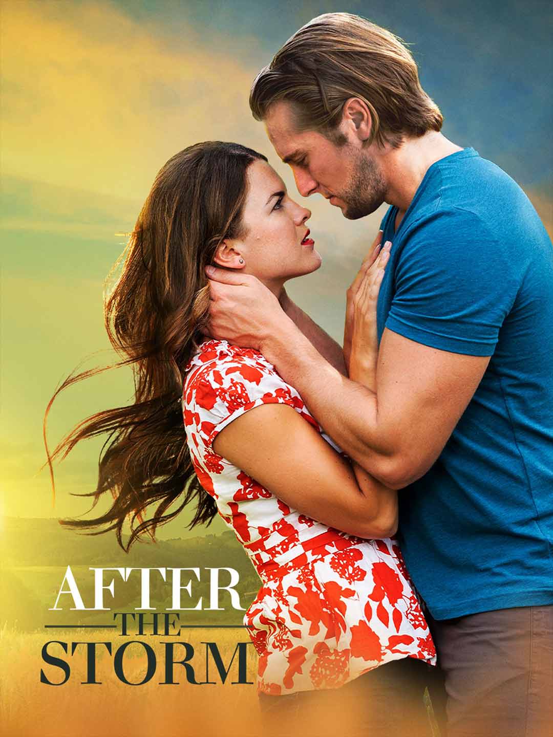 After the Storm poster