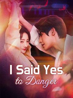 I Said Yes to Danger poster