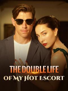 The Double Life Of My Hot Escort poster