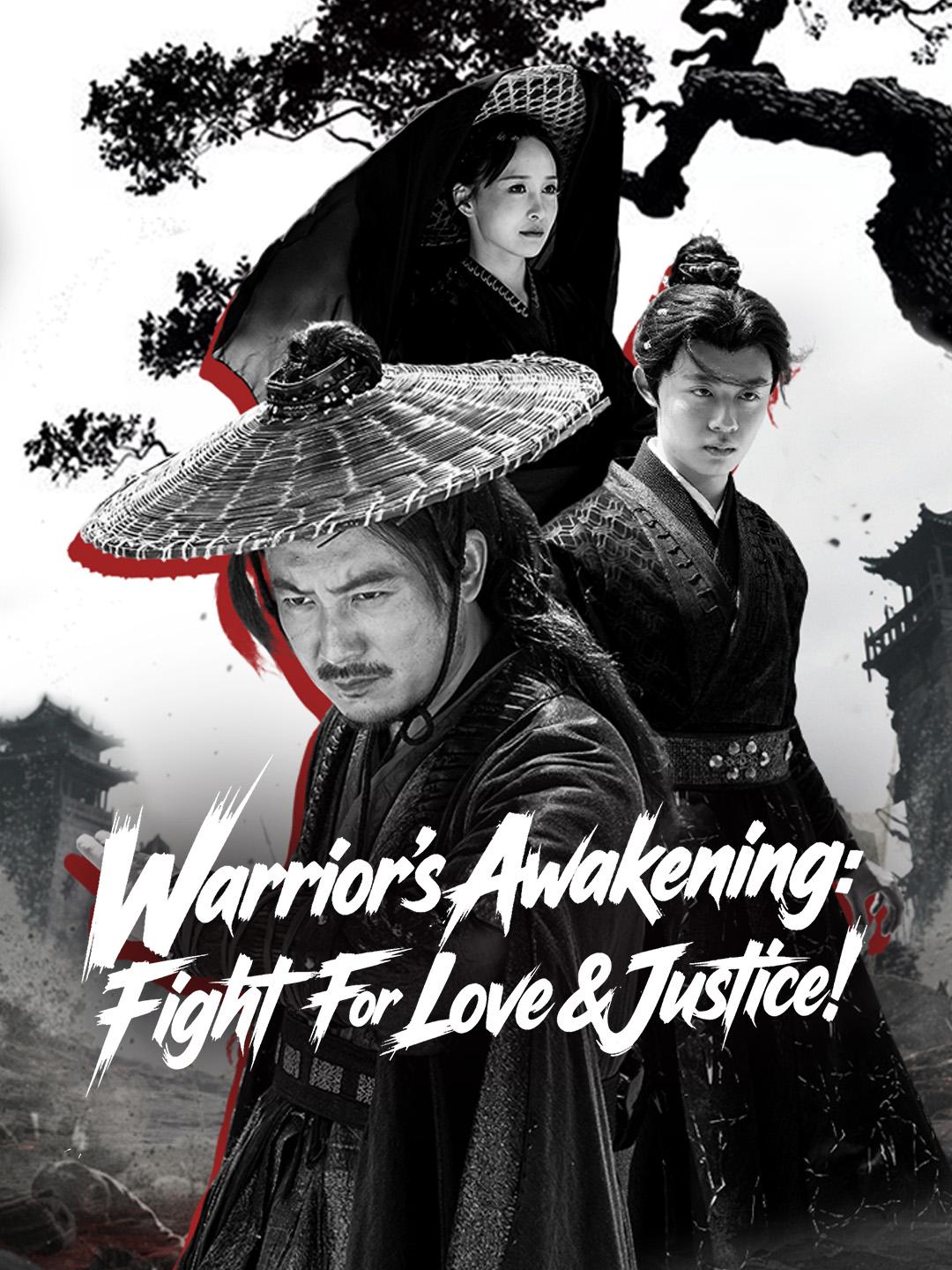 Warrior's Awakening: Fight For Love & Justice! poster