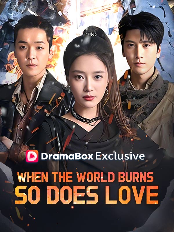 When the World Burns, So Does Love poster