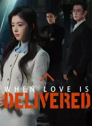 When Love is Delivered poster