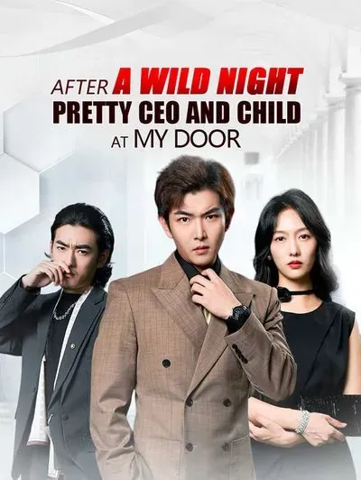 After a Wild Night, Pretty CEO and Child at My Door poster