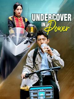 Undercover in Power poster