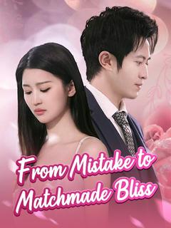 From Mistake to Matchmade Bliss poster