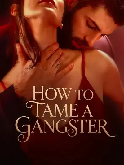 How to Tame a Gangster poster