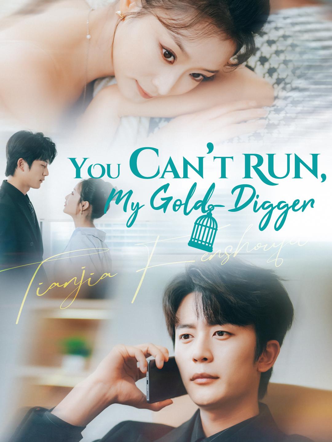 You Can’t Run, My Gold-Digger poster