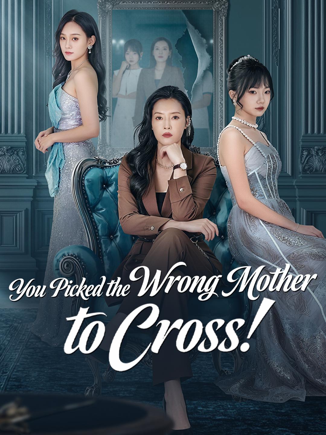 You Picked the Wrong Mother to Cross! poster