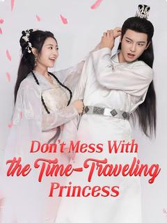 Don't Mess With the Time-Traveling Princess poster