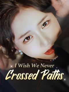 I Wish We Never Crossed Paths poster