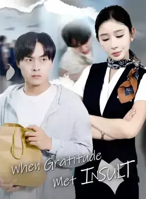 When Gratitude Met Insult poster