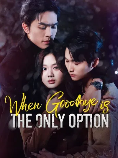 When Goodbye is the Only Option poster