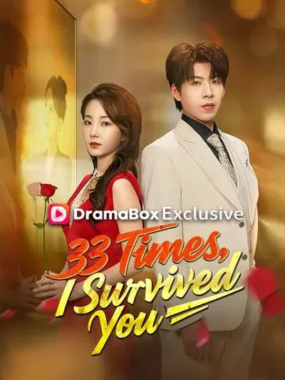 33 Times, I Survived You poster