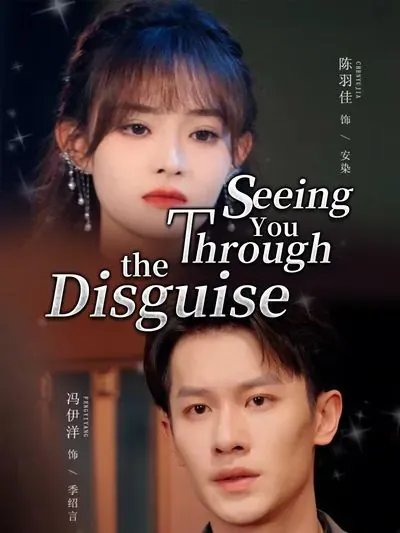 Seeing You Through the Disguise poster