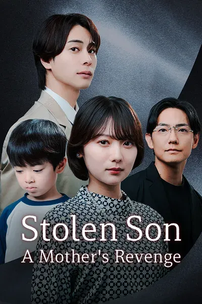 Stolen Son: A Mother's Revenge poster