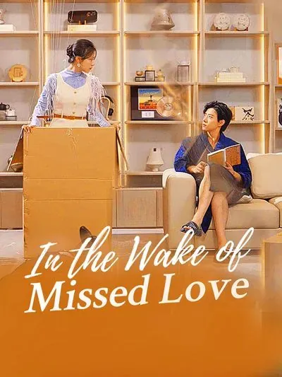 In the Wake of Missed Love poster