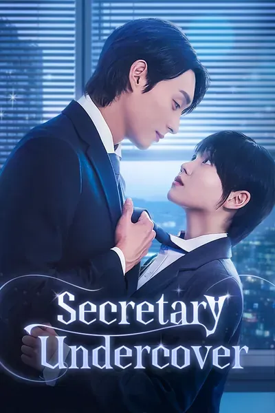 Secretary Undercover poster