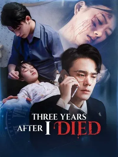 Three Years After I Died poster