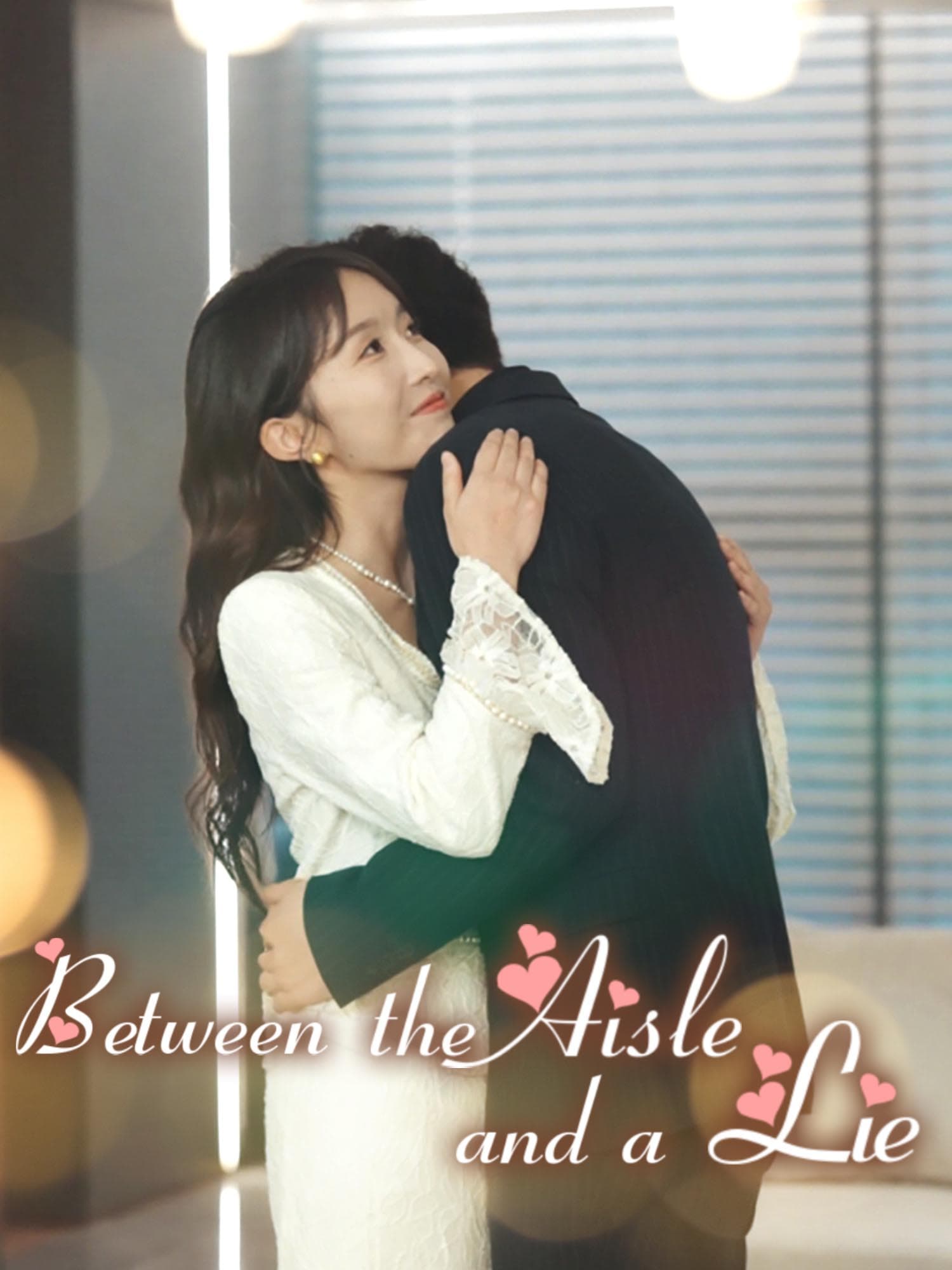 Between the Aisle and a Lie poster