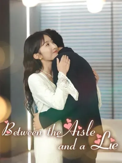 Between the Aisle and a Lie poster