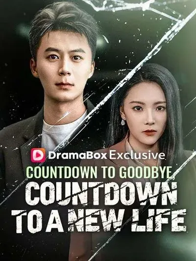Countdown to Goodbye, Countdown to a New Life poster