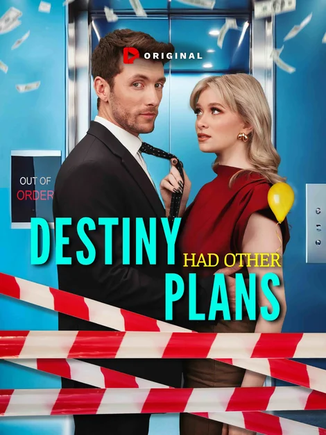 Destiny Had Other Plans poster