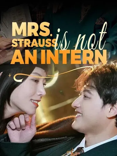 Mrs. Strauss Is Not An Intern poster