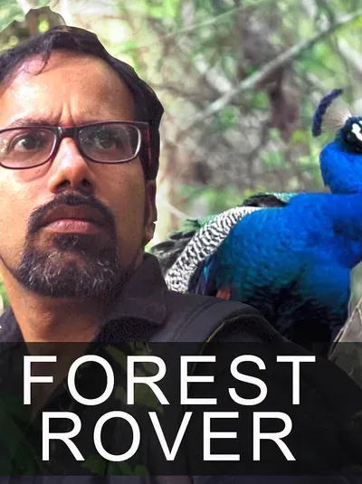 Forest Rover poster