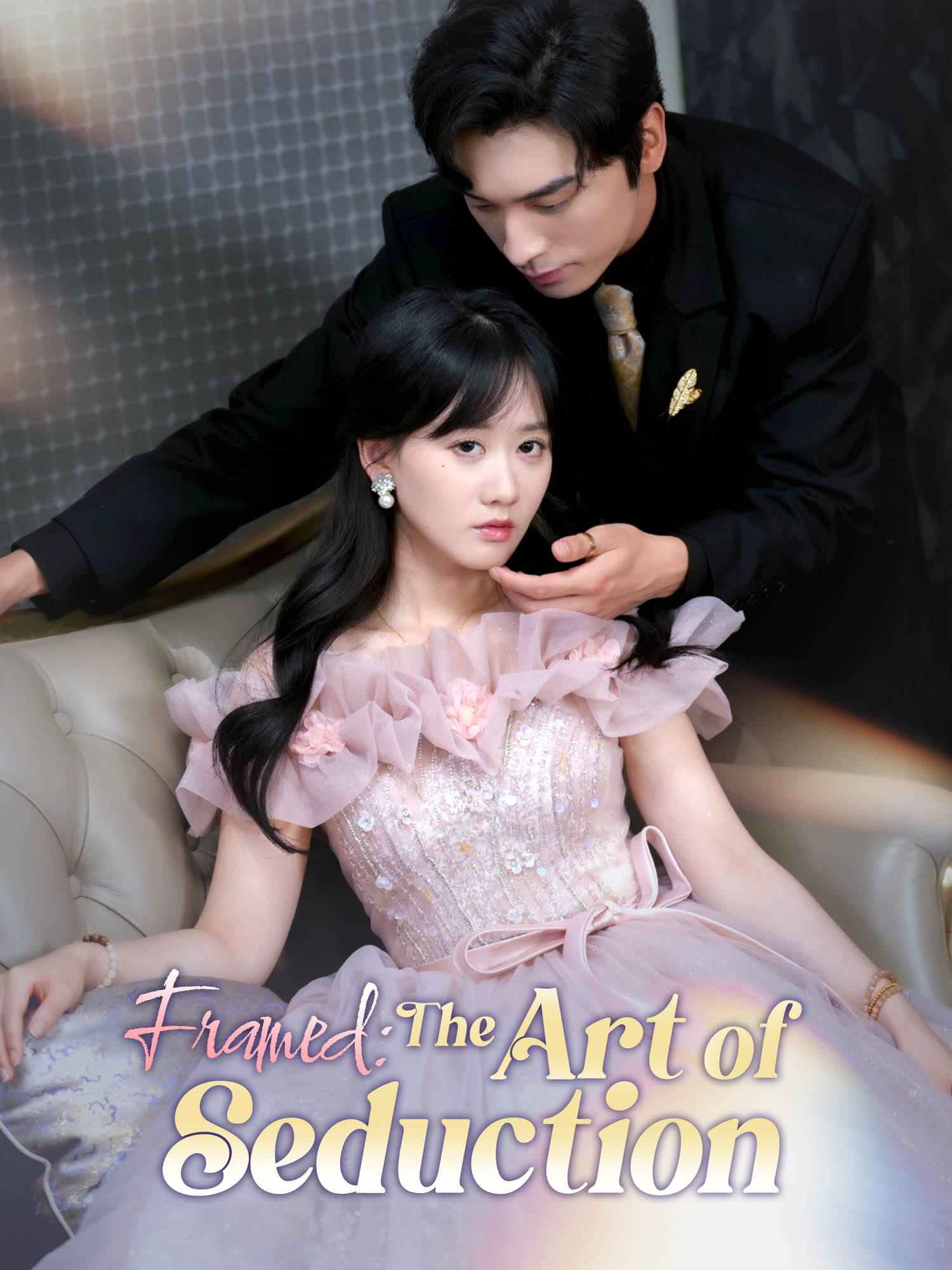 Framed: The Art of Seduction poster