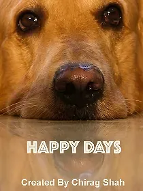 Happy Days poster