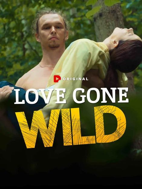 In Love With Wild Billionaire poster