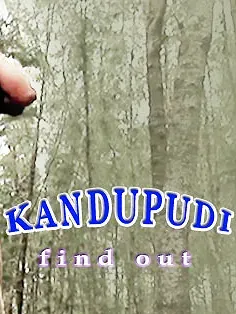 Kandupudi poster