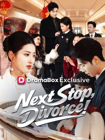Next Stop, Divorce! poster