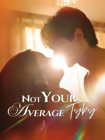 Not Your Average Toyboy poster