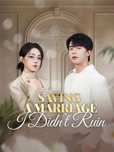 Saving a Marriage I Didn't Ruin poster