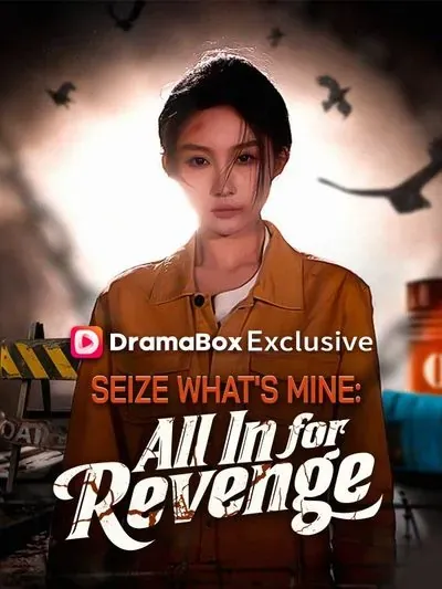 Seize What's Mine: All In for Revenge poster
