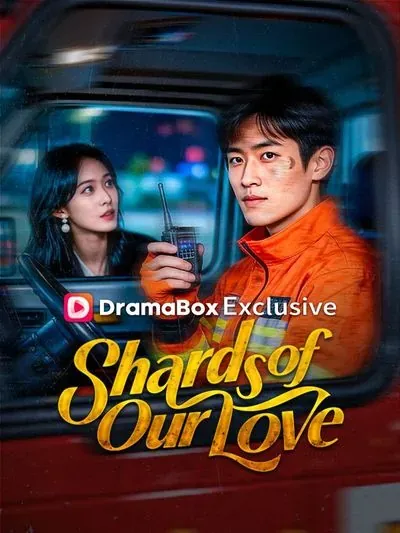Shards of Our Love poster