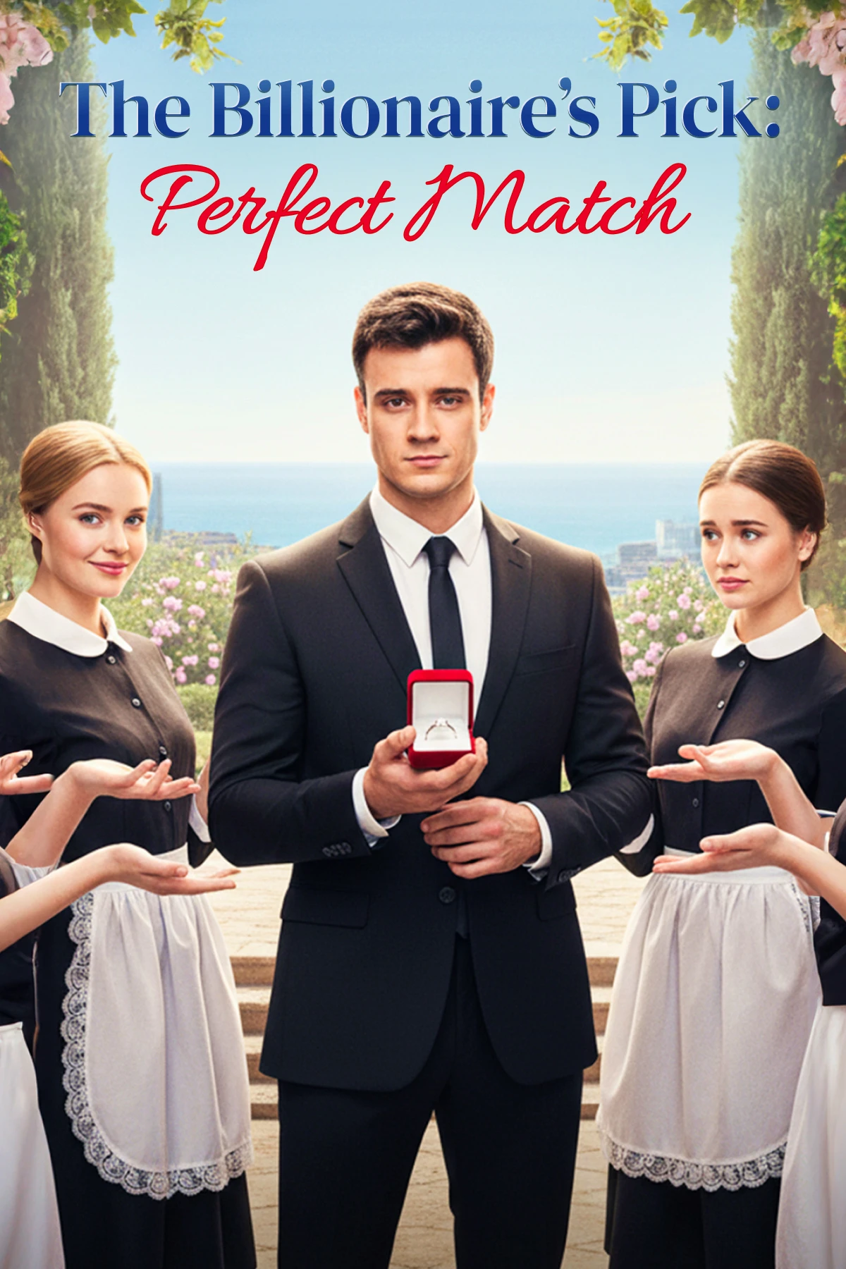 The Billionaire’s Pick: Perfect Match poster